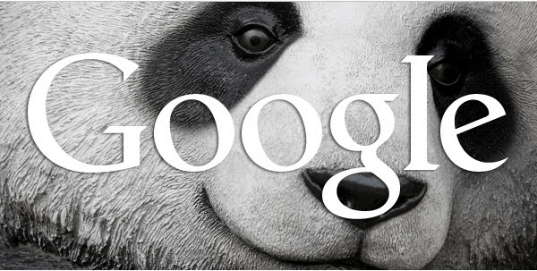 Google đã chính thức cập nhật thuật toán Panda 4.1