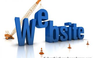 Website 1024x708
