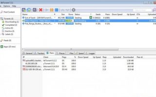 Thietkewebwordpress Phan Mem Tai Torrent Tot Nhat Bittorrent E1426089207267